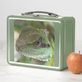 アガマ メタルランチボックス (インサイチュ)