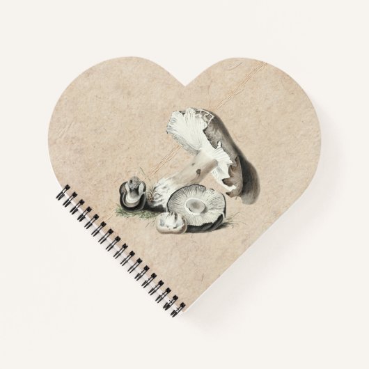 アガリクス・アウグストゥス ノートブック (正面)