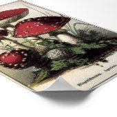 アガリクス ポスター (角)