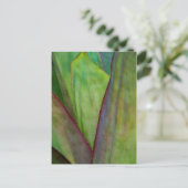 アガヴプラント詳細 ポストカード (スタンド正面)