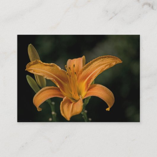 アガーデンデライトミニプリント 名刺 (正面)