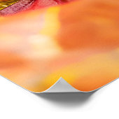 アガ感じリンキノコの上を這うカタツムリ ポスター (角)