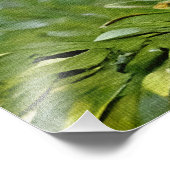 アガ鮮やかパンツスの花の緑と描写 フォトプリント            (角)