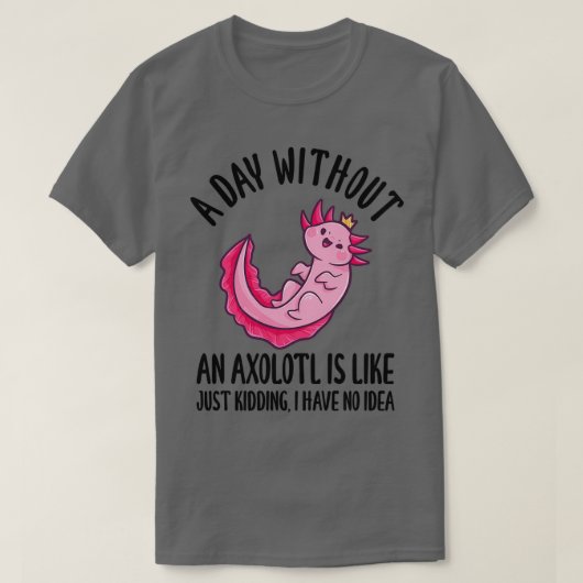 アキソロトルのない日は冗談に似ている1 Tシャツ (デザイン正面)