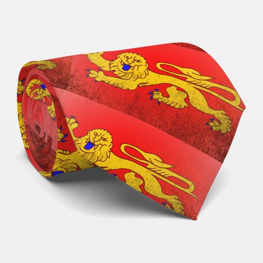 アキテーヌ ネクタイ (ロール)