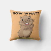 アキャピおもしろいバラ装飾用クッション クッション (裏面)