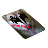 アキラキスジーン誰だ? マグネット (右側)