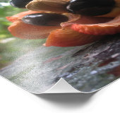 アキー族 フォトプリント            (角)