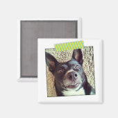 アクアとイエロー和紙テープインスタグラム磁石 マグネット (正面/裏面)