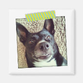 アクアとイエロー和紙テープインスタグラム磁石 マグネット (正面)