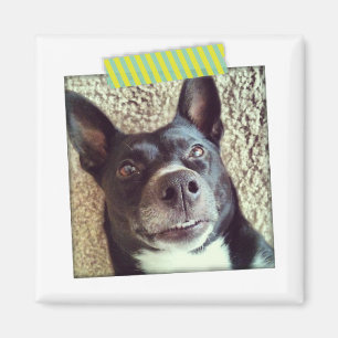 アクアとイエロー和紙テープインスタグラム磁石 マグネット