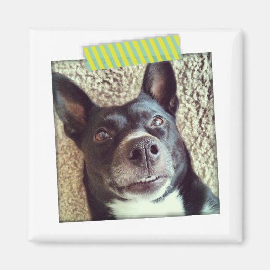 アクアとイエロー和紙テープインスタグラム磁石 マグネット (正面)