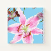 アクアの繊細なピンクのユリの花 ノートブック (裏面)