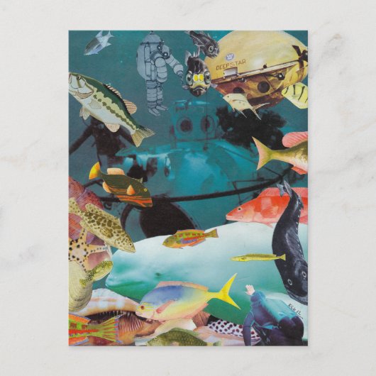 アクアアドベンチャーポストカード ポストカード (正面)