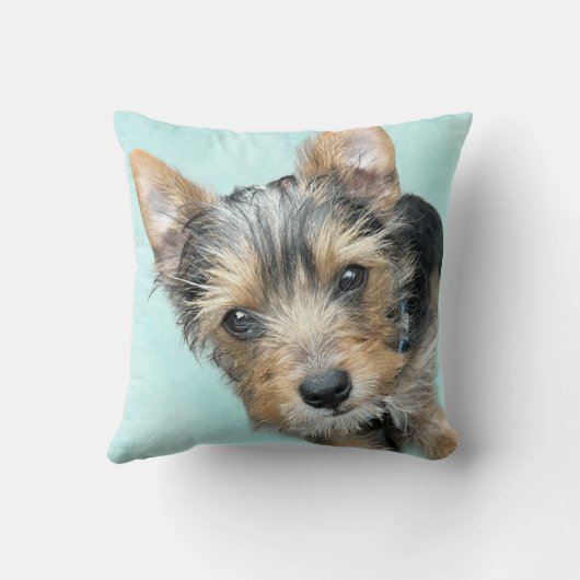アクアウォーターカラーとペット写真装飾用クッション クッション (裏面)