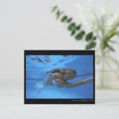 アクアウーマンバイBarry Kulick ポストカード (スタンド正面)