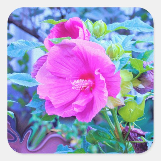アクアエレガントリーフのあるピンクのハイビスカスの花 スクエアシール (正面)