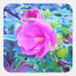 アクアエレガントリーフのあるピンクのハイビスカスの花 スクエアシール