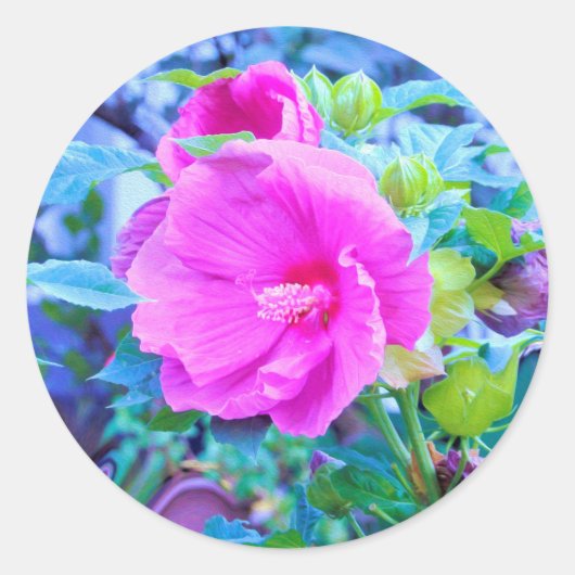 アクアエレガントリーフのあるピンクのハイビスカスの花 ラウンドシール (正面)
