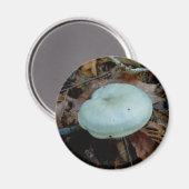 アクアキノコ磁石 マグネット (正面/裏面)