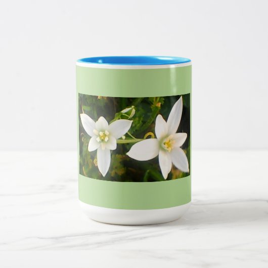 アクアグリーンスプリングタイム ツートーンマグカップ (中央)