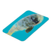 アクアグリーン マグネット (左側)