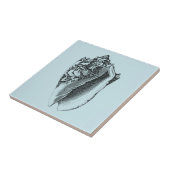 アクアコンチシェル タイル (側面)