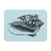 アクアコンチシェル マグネット (横)