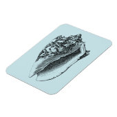 アクアコンチシェル マグネット (左側)