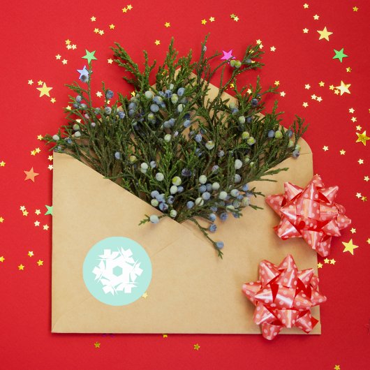 アクアジオメトリックスノーフレーク ラウンドシール