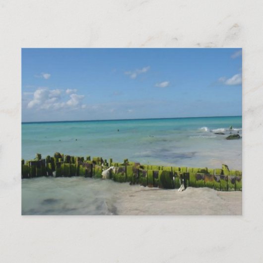 アクアセレニティ ポストカード (正面)