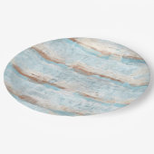 アクアターコイズブラウンホワイトウォーターストライプカラー芸術 ペーパープレート (アングル)