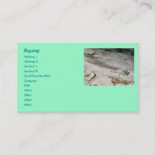 アクアダンセルフライ 名刺 (正面)