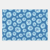 アクアティール(緑がかった色)ブルー砂ドル水色 ラッピングペーパーシート (正面)