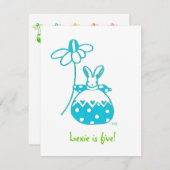 アクアデイジーバニー誕生日の招待状 招待状 (正面/裏面)