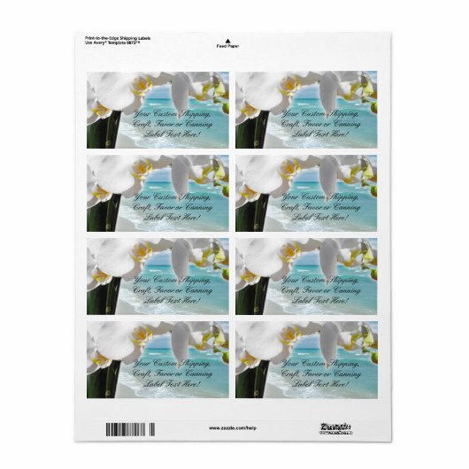 アクアビーチ蘭 ラベル (フルシート)