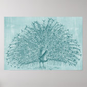 アクアピーコック ポスター (正面)