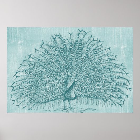 アクアピーコック ポスター (正面)