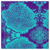 アクアフローラ織物 ファブリック (クローズアップ)