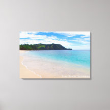 アクアブルーの青緑色の海 ビーチ 白い砂の丘の風景
