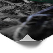 アクアブルークロカス開花 ポスター (角)