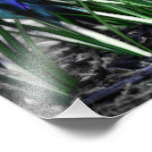 アクアブルークロッカス開花の再生 フォトプリント            (角)