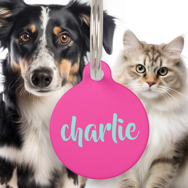 アクアブルー名電話番号スクリプトはっきりしたホットピンク ペット　ネームタグ (Aqua blue name phone number script bold hot pink pet ID tag)
