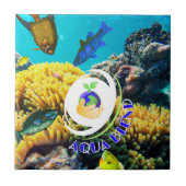 アクアブレンド タイル (正面)