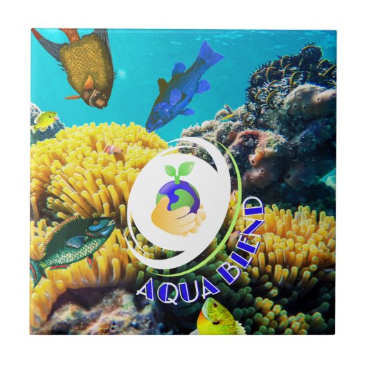 アクアブレンド タイル (正面)