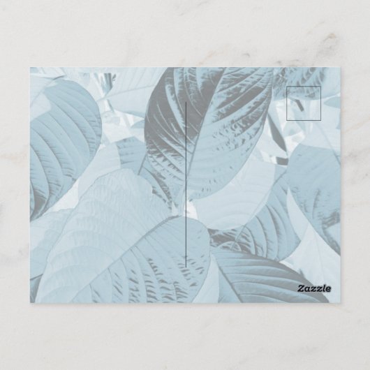 アクアボタニ離れカルポスカード(カスタマイズ可能) ポストカード (裏面)