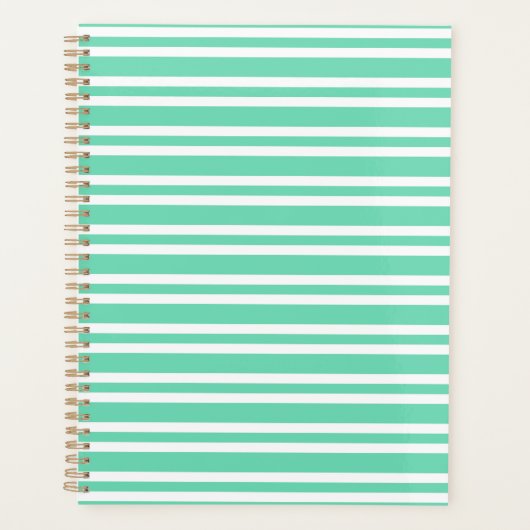 アクアマリンとホワイトのストライプ模様 プランナー手帳 (正面)