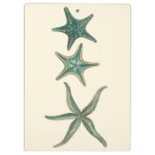 アクアマリントリプルヒトデ クリップボード (裏面)