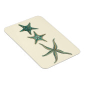 アクアマリントリプルヒトデ マグネット (右側)