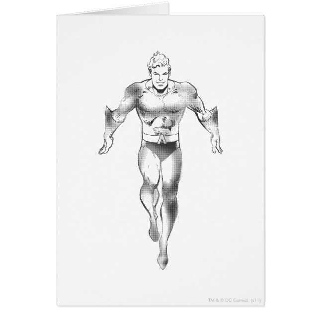 アクアマン走BW (正面)